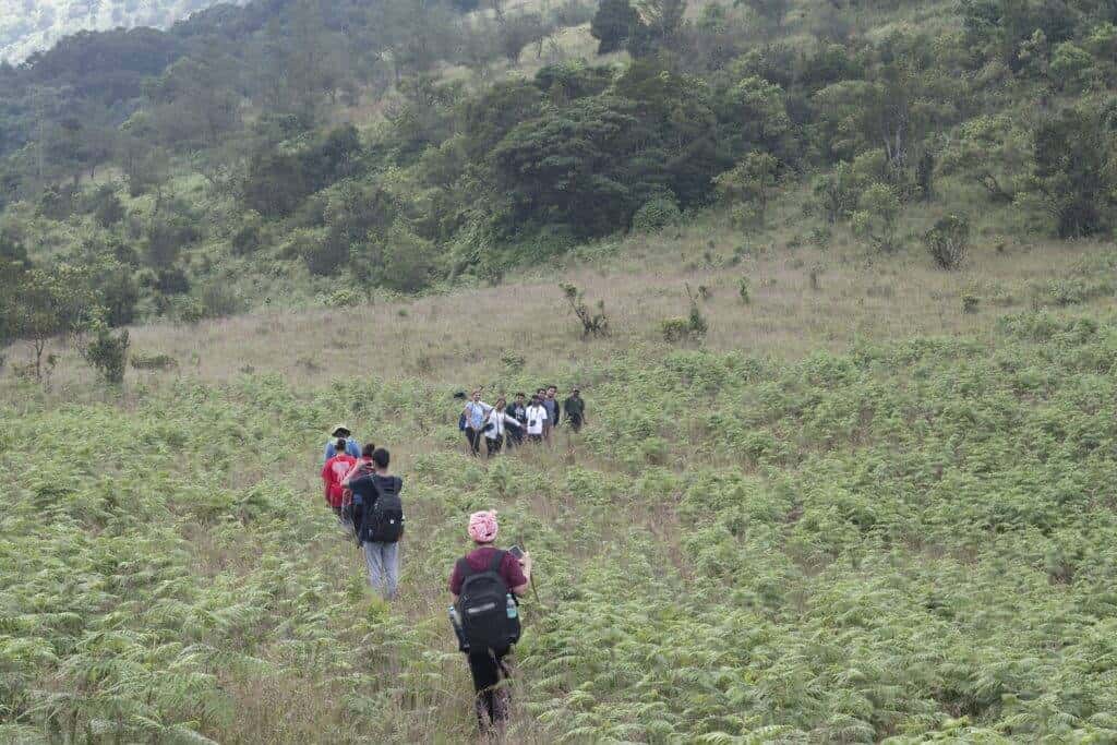 Nishani Motte Trek - Coorg | Nature Walkers - June & July thumb 4