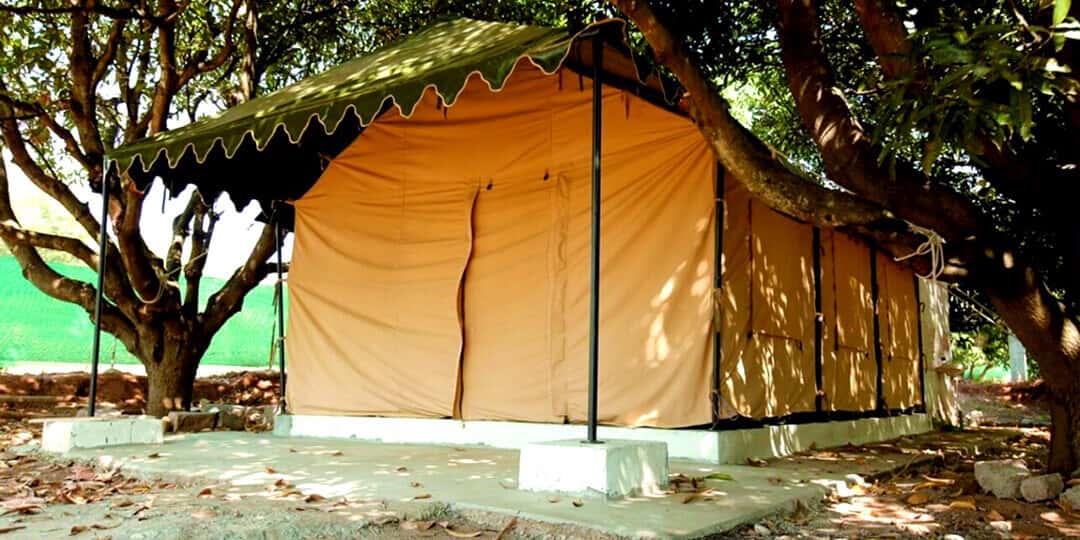 Night Outing Packages at Campfire Circle thumb 3