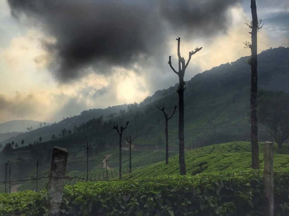 Kurinjal Peak Trek And Kyathanmakki Hills | Plan The Unplanned - July thumb 4