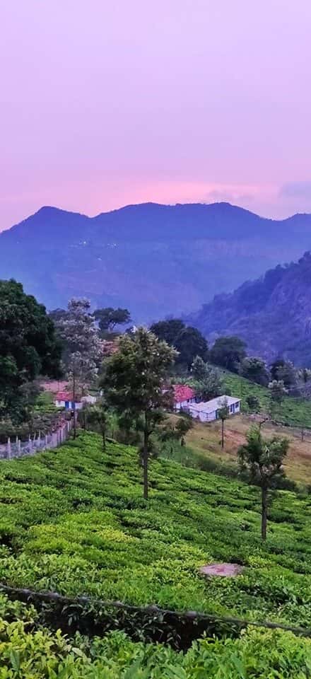 Kurinjal Peak Trek And Kyathanmakki Hills | Plan The Unplanned - July thumb 3