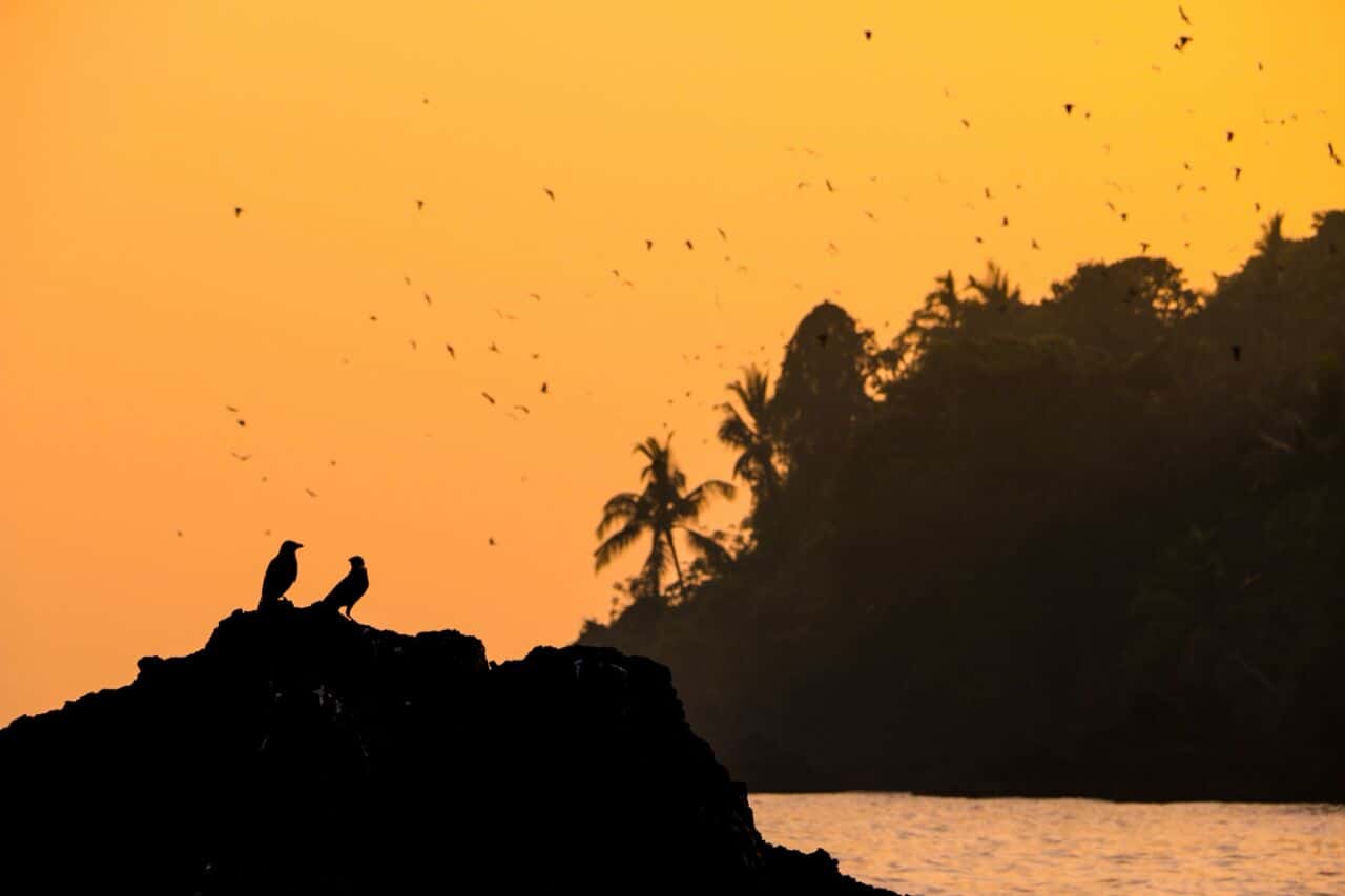 Gokarna | New Year 2020 thumb 2