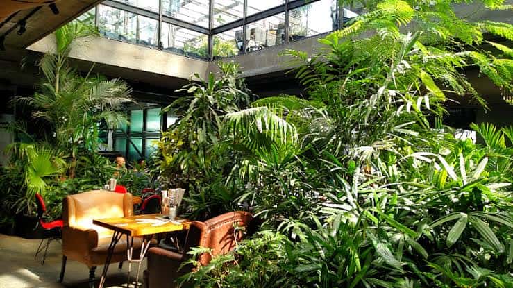 Saturday Let's Party At : Social Koramangala - Free Entry thumb 4