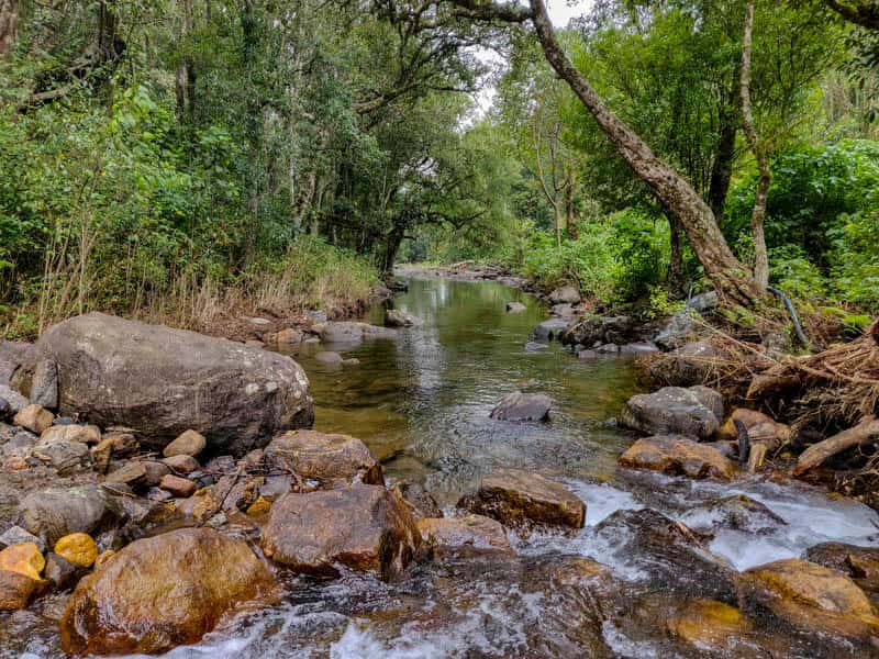 Wayanad Night Trek & Camping thumb 2