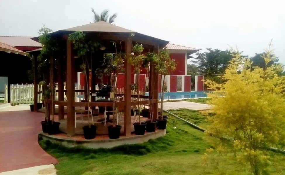 Holi Barsane Wali | Holi 2023 thumb 2