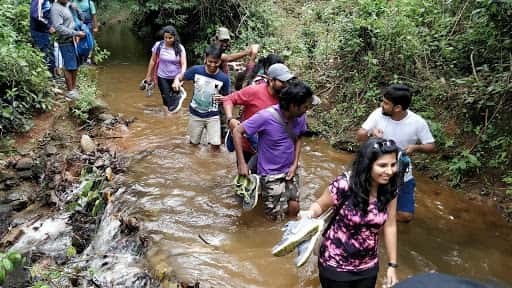 The Agumbe Rainforest Experience | Muddie Trails	 thumb 4