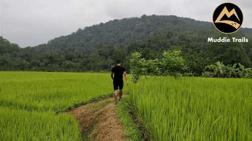 The Agumbe Rainforest Experience | Muddie Trails	 thumb 2