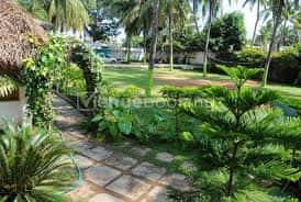 Gabbar Holi - Biggest Holi At Electronic City thumb 4