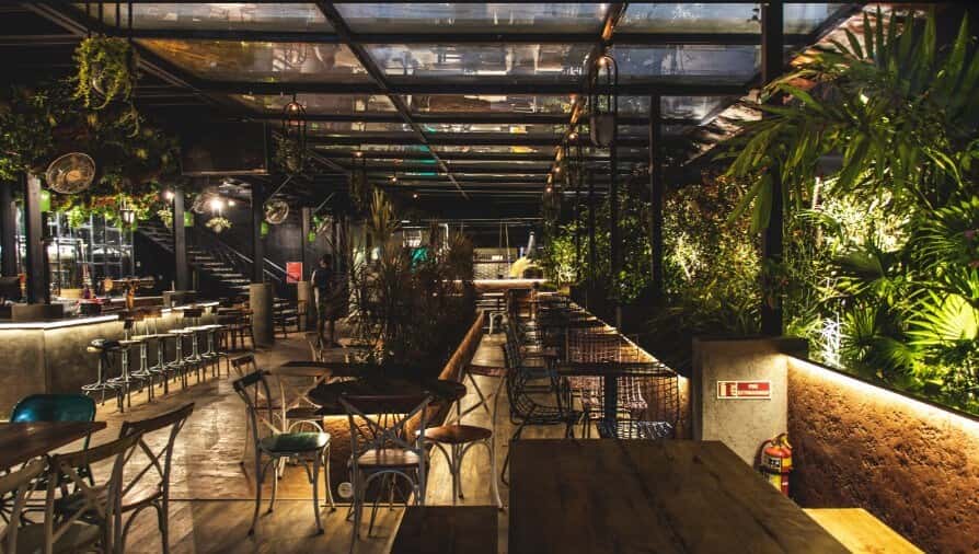 Noveria NYE 2025  thumb 4