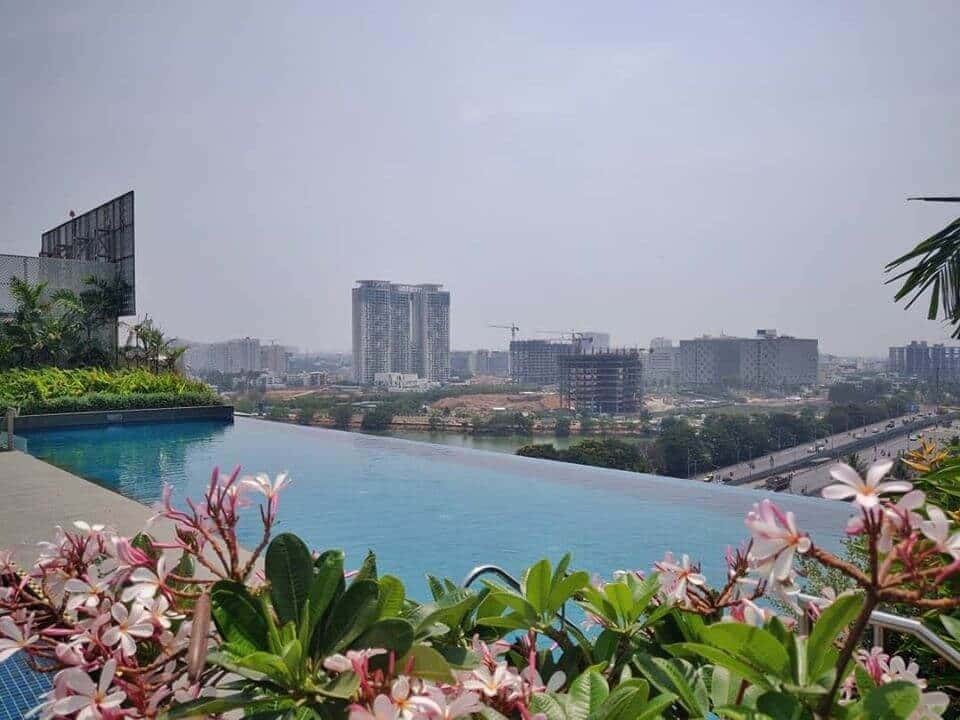 Father's Day Fiesta thumb 3