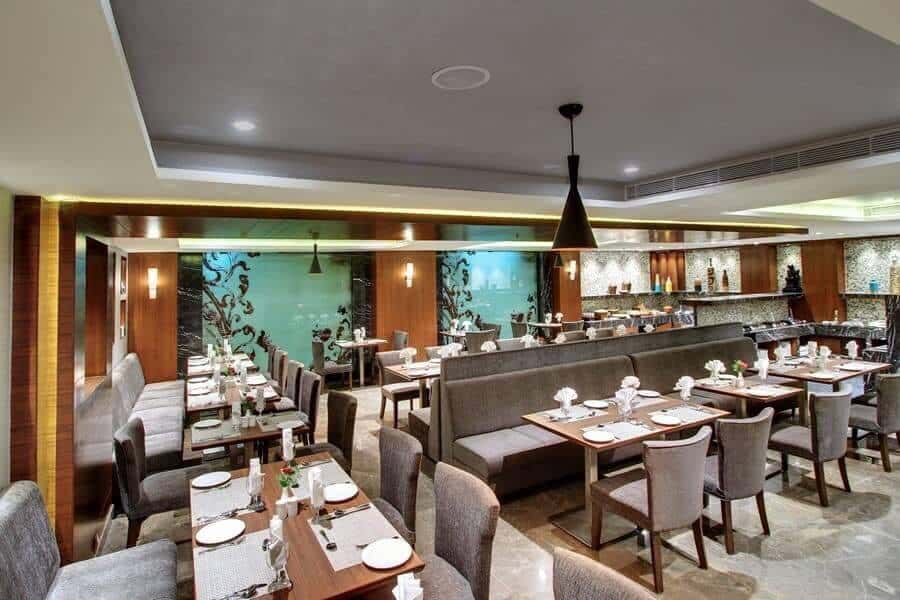 Cricket World Cup Final Match Live Screening | Rooftop Pool Side thumb 2