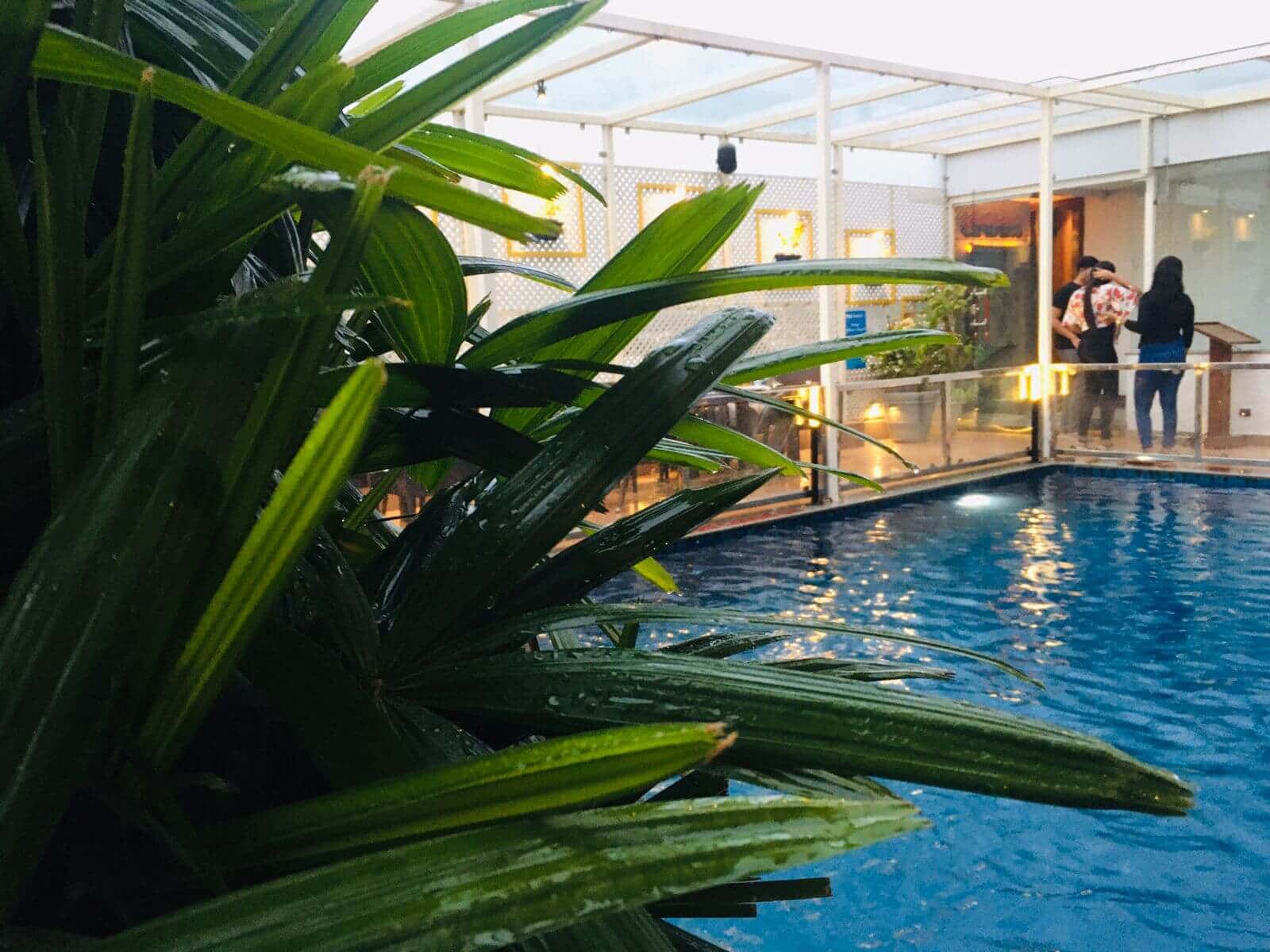 Cricket World Cup Final Match Live Screening | Rooftop Pool Side thumb 4