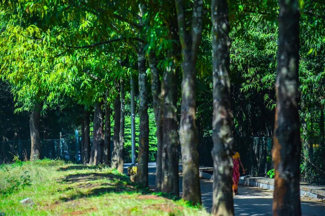 Holi Ke Piche Kya Hai - Edition 2 Ft DJ V-SKY (Chandigarh) at Mangala Kalyana Mantapa Lawn thumb 2