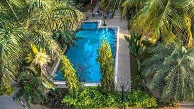 Biggest Pool And Rain Dance Open Air Holi Party 2026 thumb 4