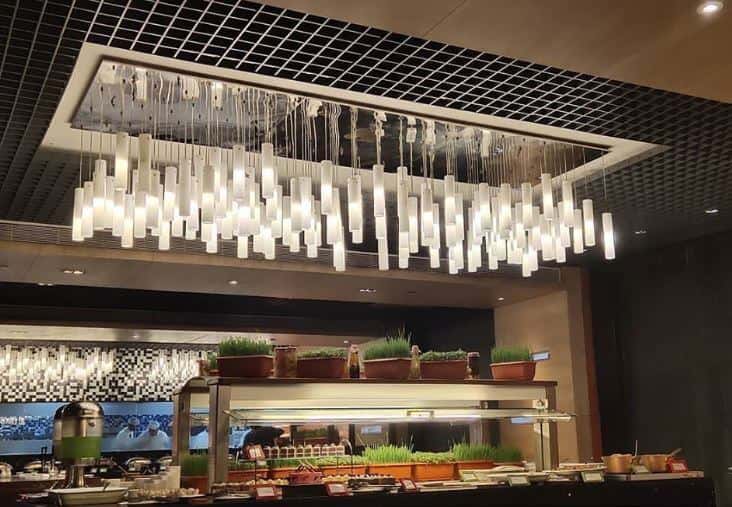 Paramotor Flights And Paragliding thumb 4