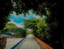 Dandiya Mahotsav 2025 | Nirantara Resort thumb 4