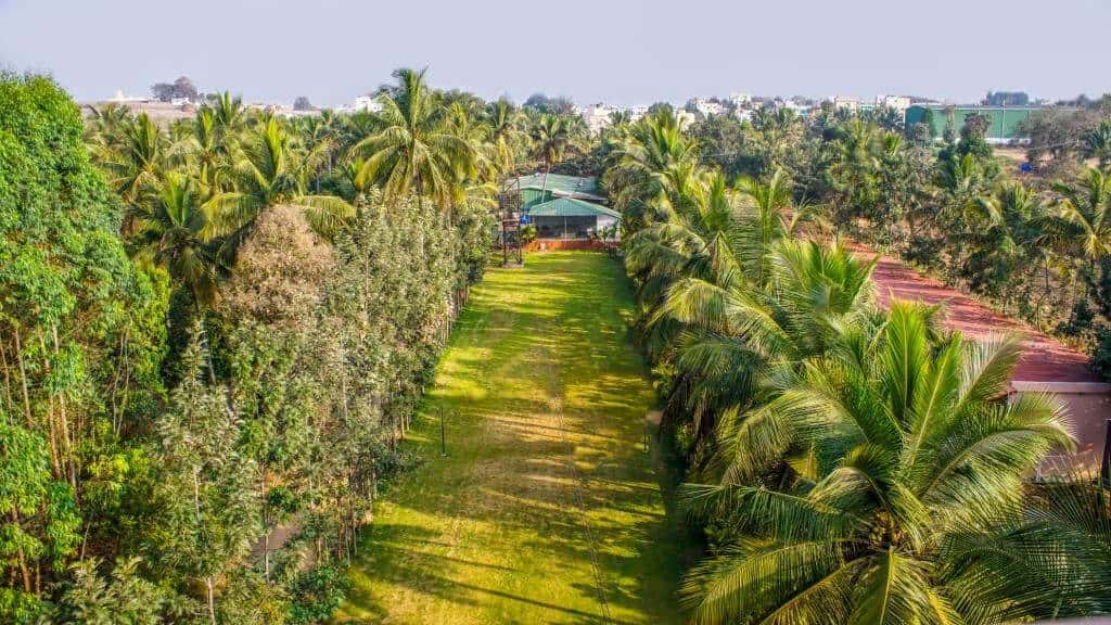 Paradise | Biggest Open Air NYE 2025 thumb 4