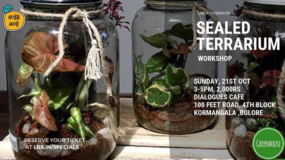 Sealed Terrarium Workshop