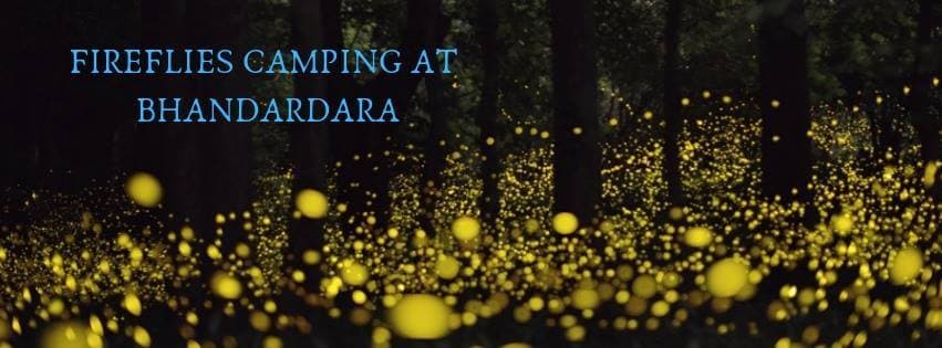 Fireflies Camping at Bhandardara