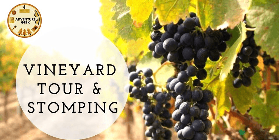 Valentine Special Sula Vineyard Tour