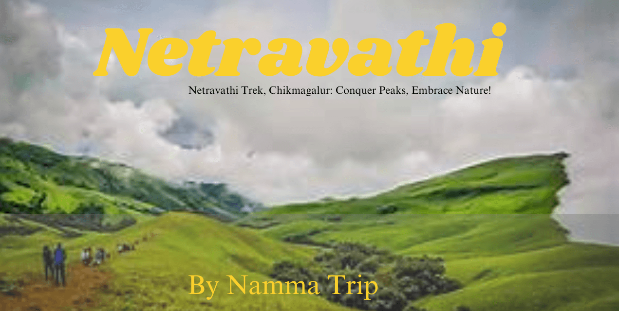 Netravathi Trek | Namma Trip