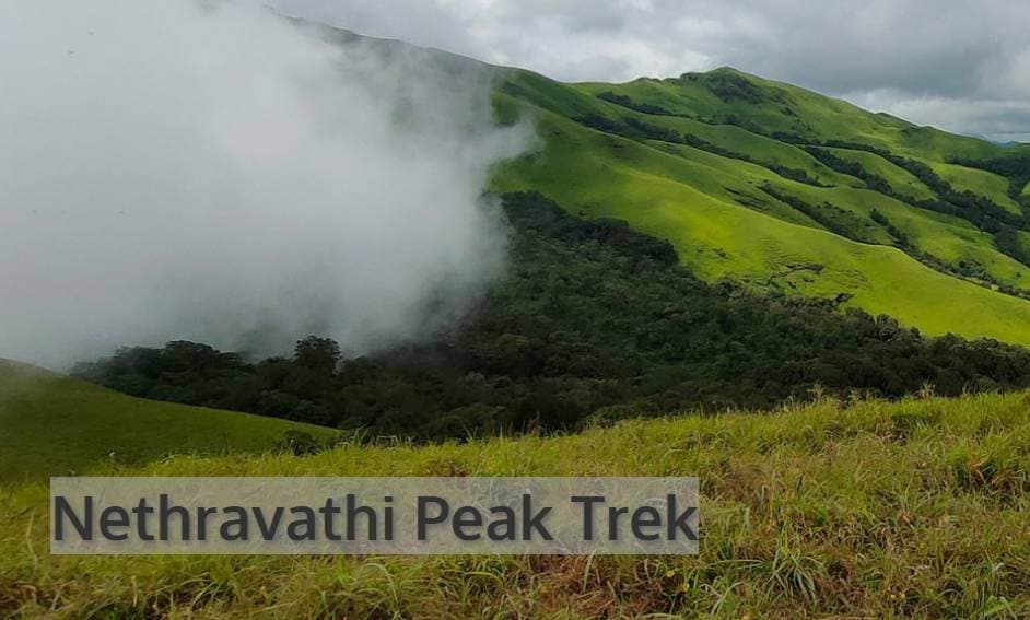 Nethravathi Peak Trek | Plan The Unplanned