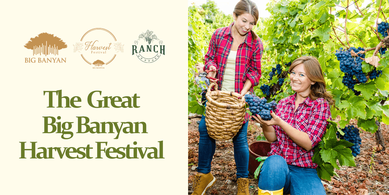 The Great Big Banyan Harvest Festival At Ranch