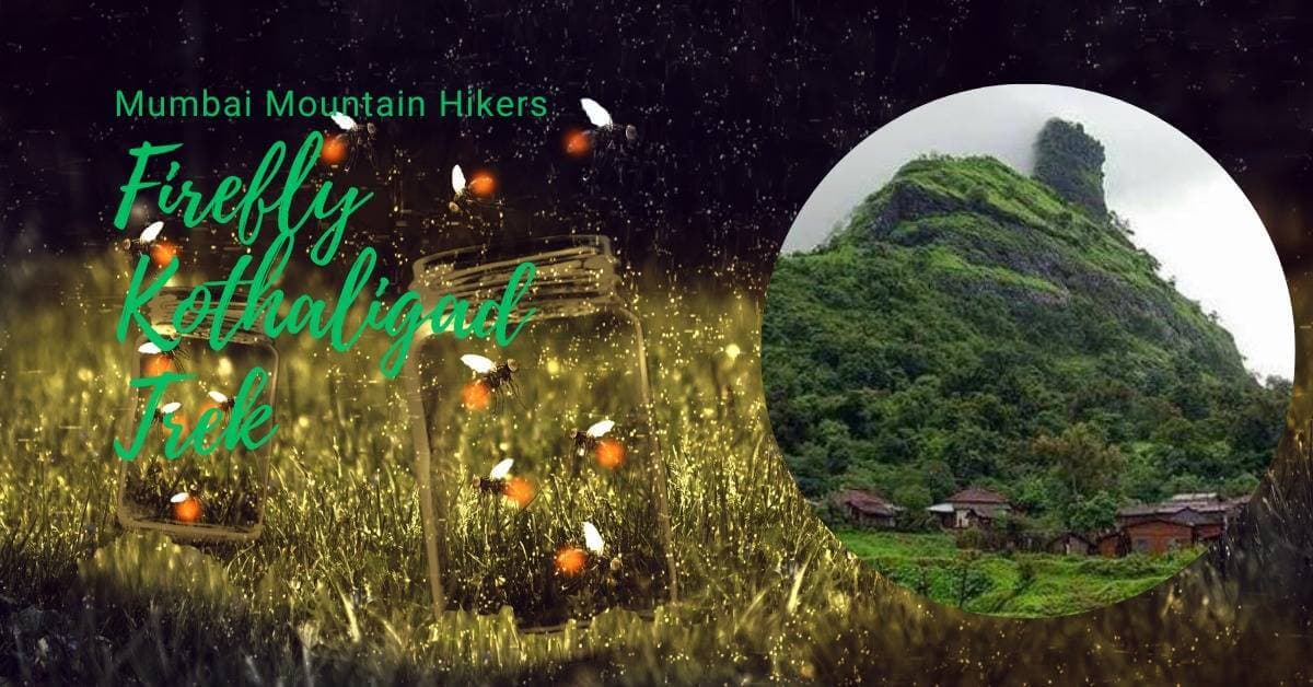 Firefly Kothaligad Night Trek | Mumbai Mountain Hikers