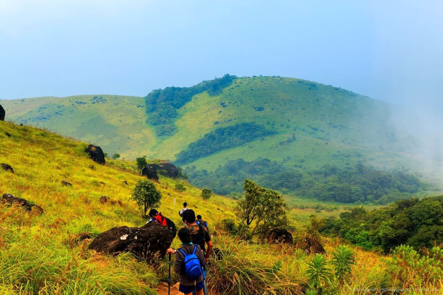 Coorg Tadiyandamol Monsoon Trek | Muddie Trails