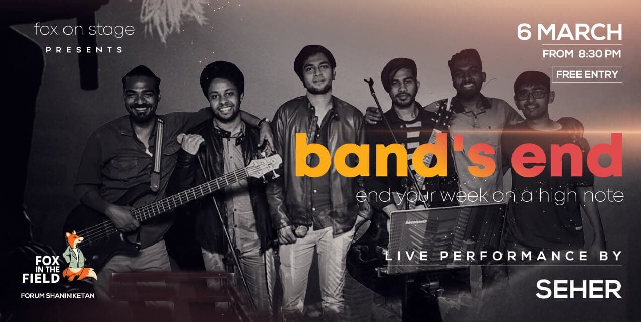 Fox in The Field - Bands End - Seher