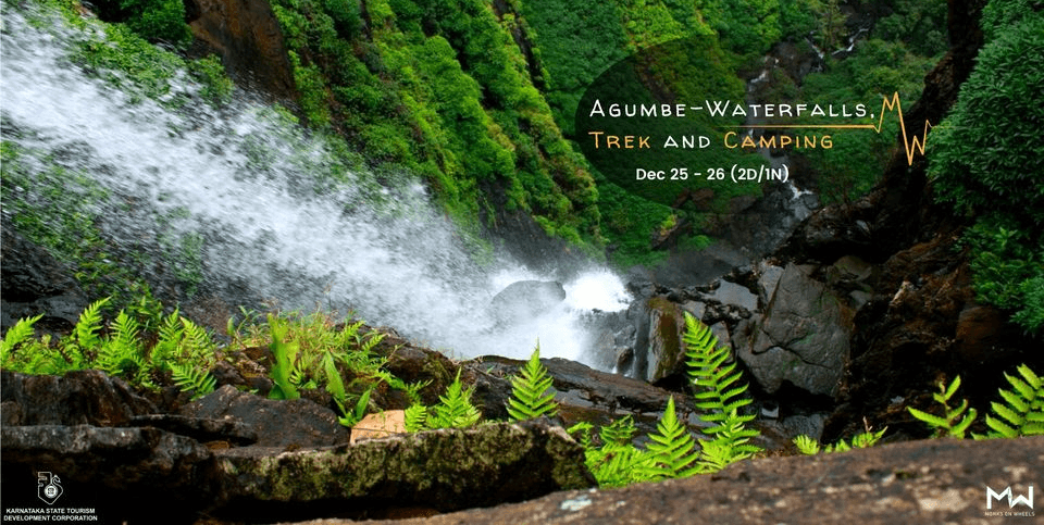 Agumbe Trek And Jungle Camping | Monks on Wheels