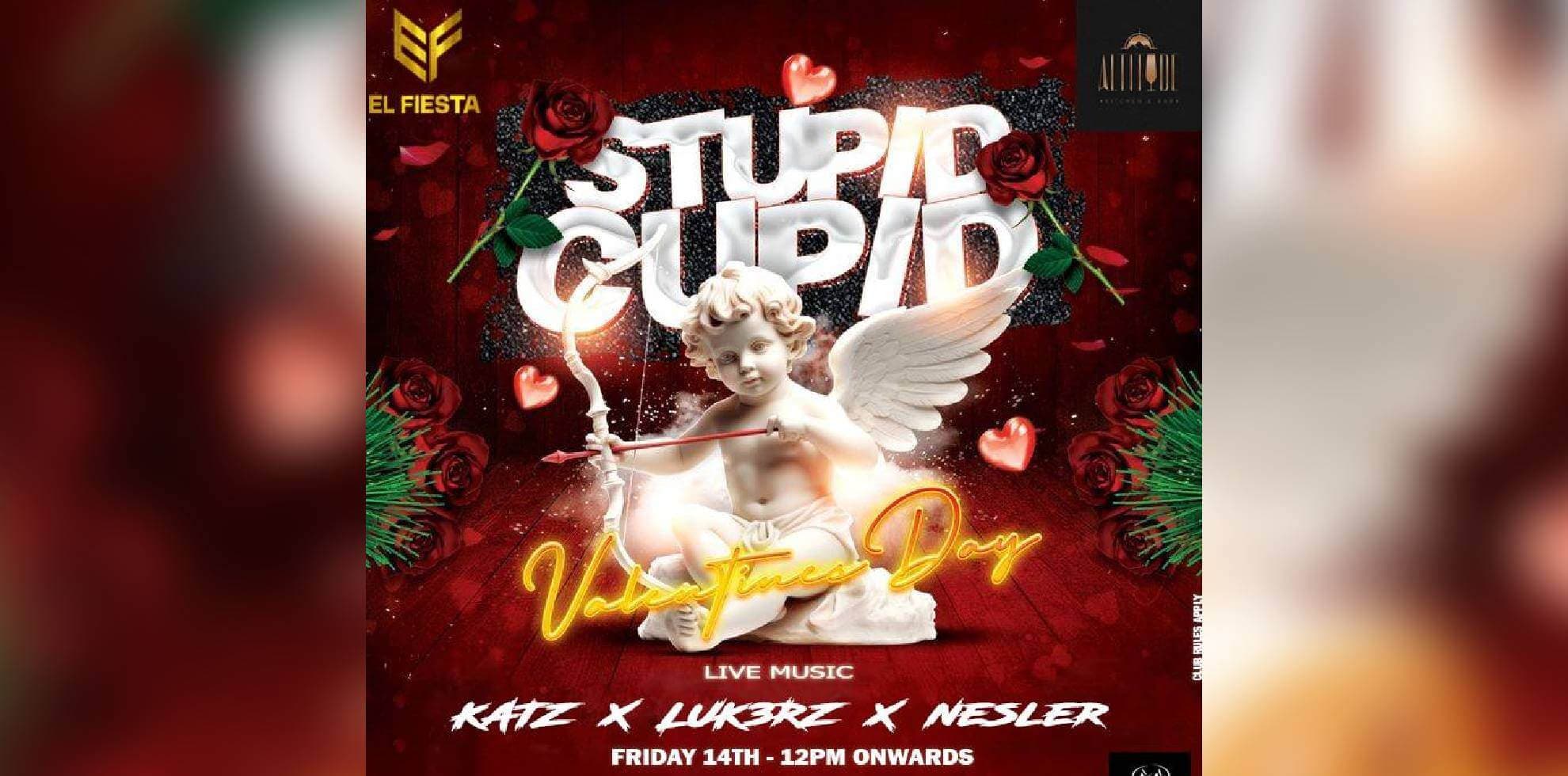 Stupid cupid | Valentine's day