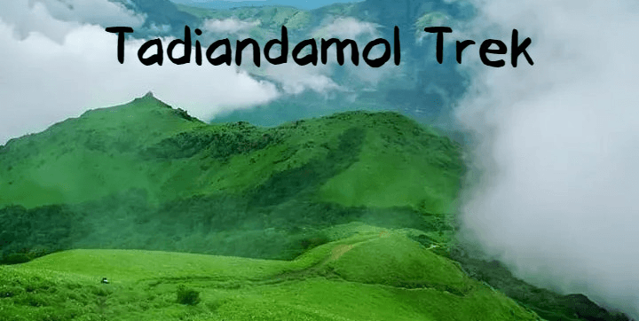 Tadiandamol Trek Coorg | My Hikes