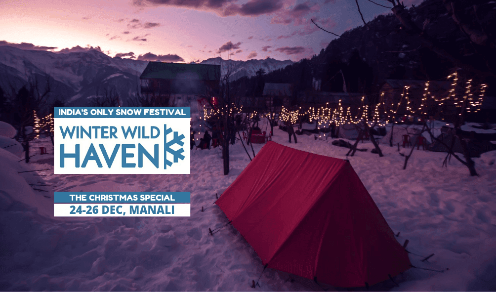 Winter Wild Haven 2021