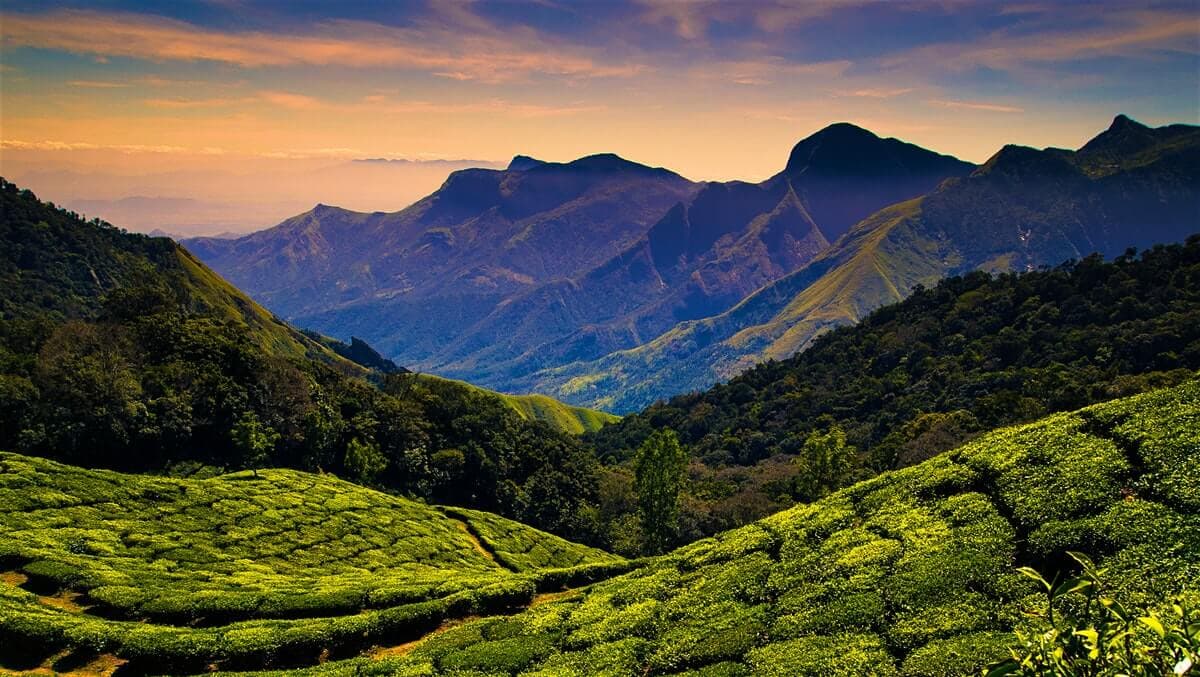 Kodaikanal Forest Tour (One Day Package)