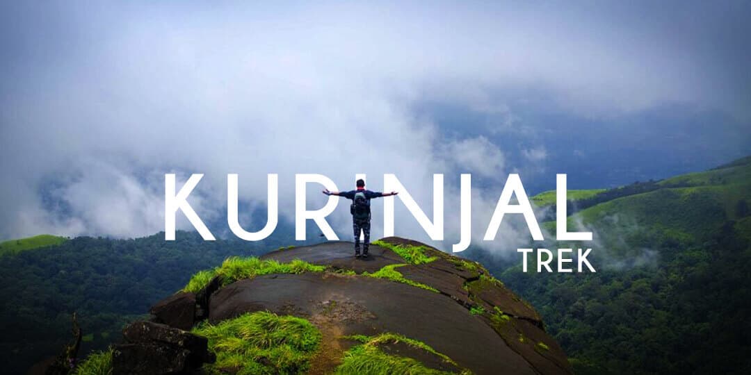 Kurinjal Peak Trek | Plan The Unplanned