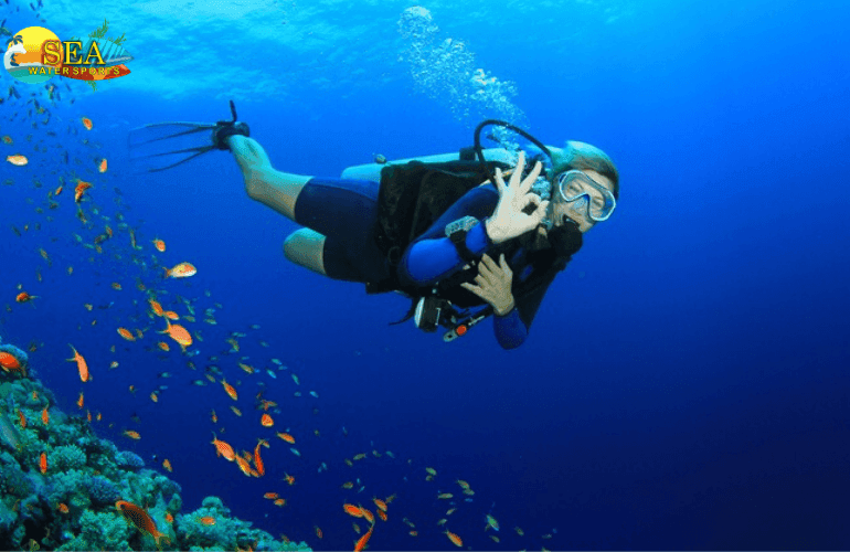 Scuba Diving And Water Sports At Dandi Beach || Sea Water Sports