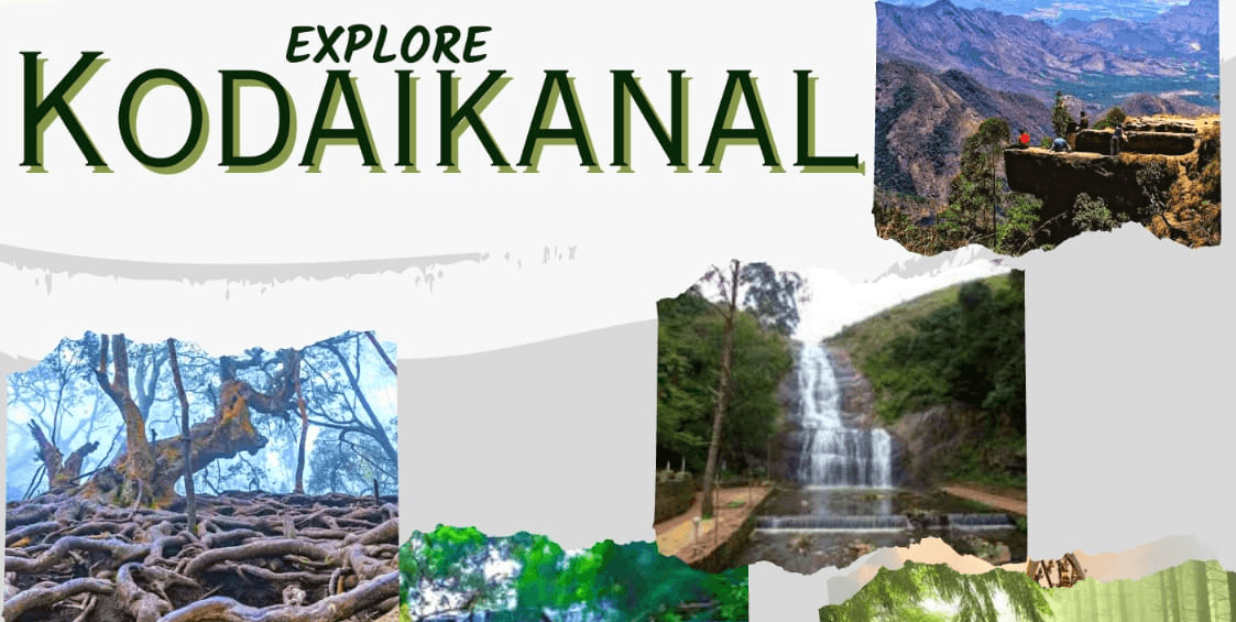 Kodaikanal Backpacking Tour | Travellers Together