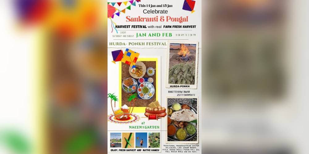 Sankranti - Pongal Celebration