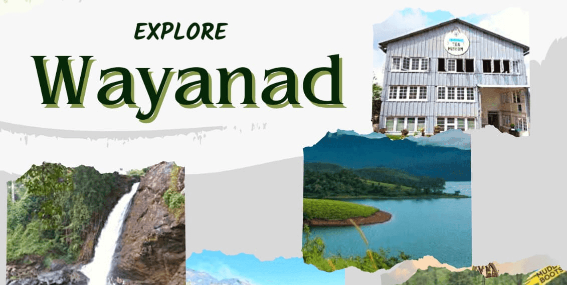 Wayanad Backpacking Tour | Travellers Together  