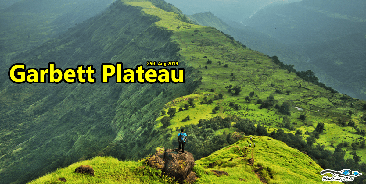 Garbett Plateau Trek