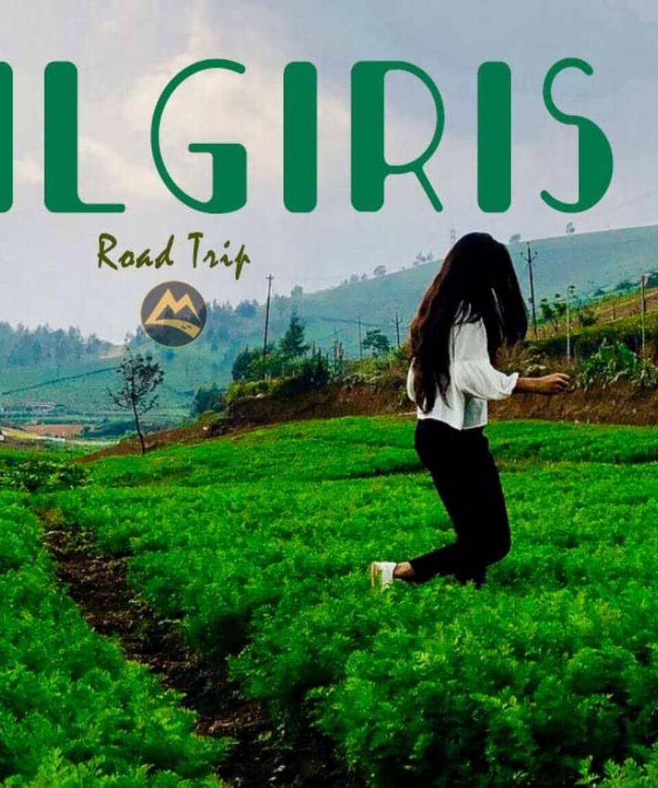 Ooty With Nilgiris Road Trip | Muddie Trails