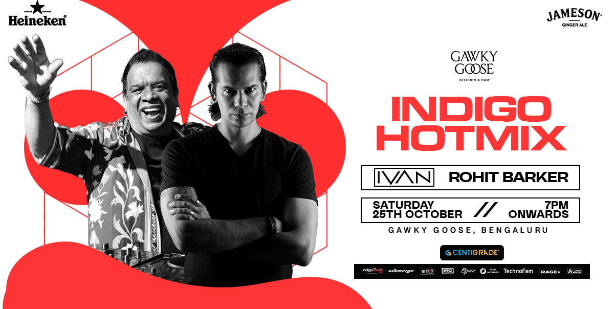 Indigo Hotmix | Gawky Goose