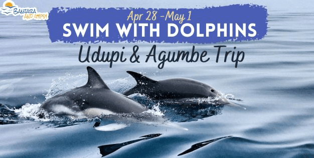 Swim With Dolphins - Udupi and Agumbe Long Weekend Trip