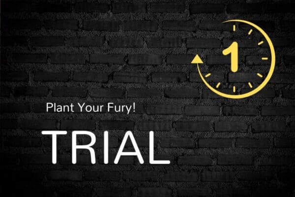 Rage Room - Trial Package