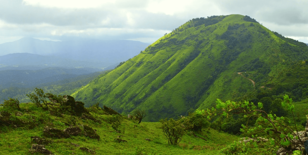 Chikmagalur - Bababudangiri Trek || Monks on Wheels