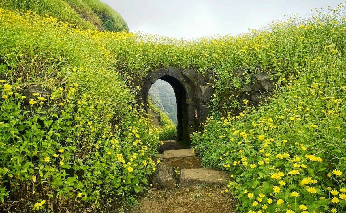 RATANGAD TREK & REVERSE WATERFALL | Infinite Adventure Club