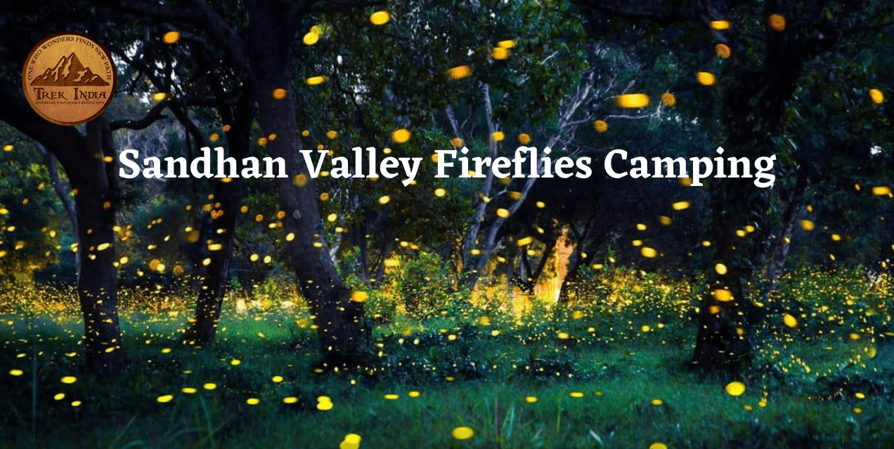 Sandhan Valley Fireflies Camping 2025 | Trek India