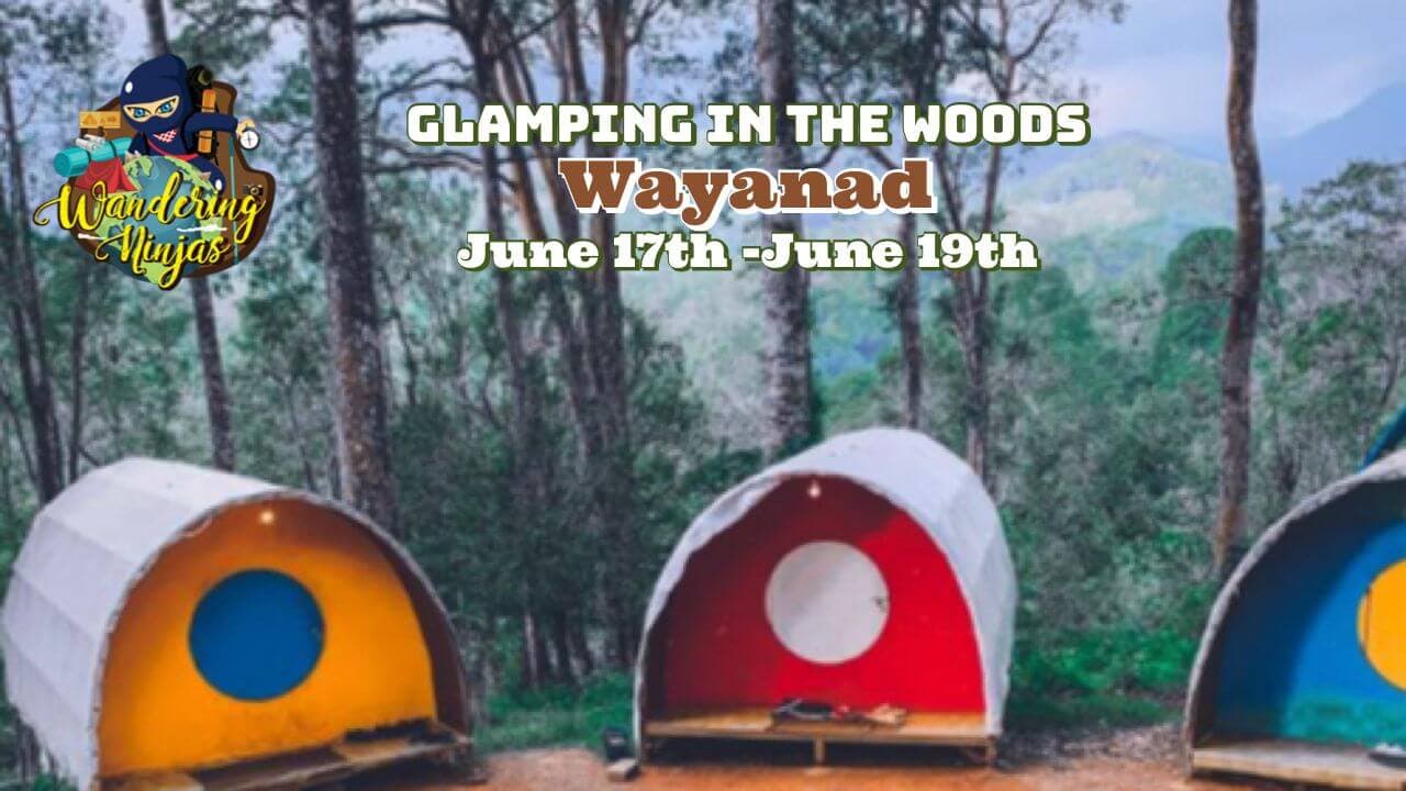 Glamping In The Woods - Wayanad