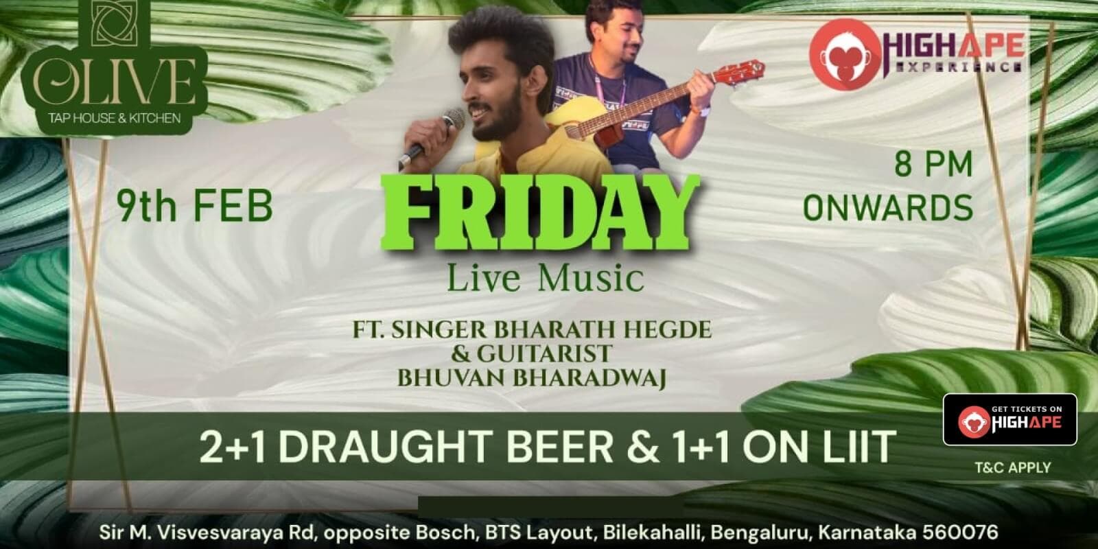 Friday Live Music | Olive Taphouse