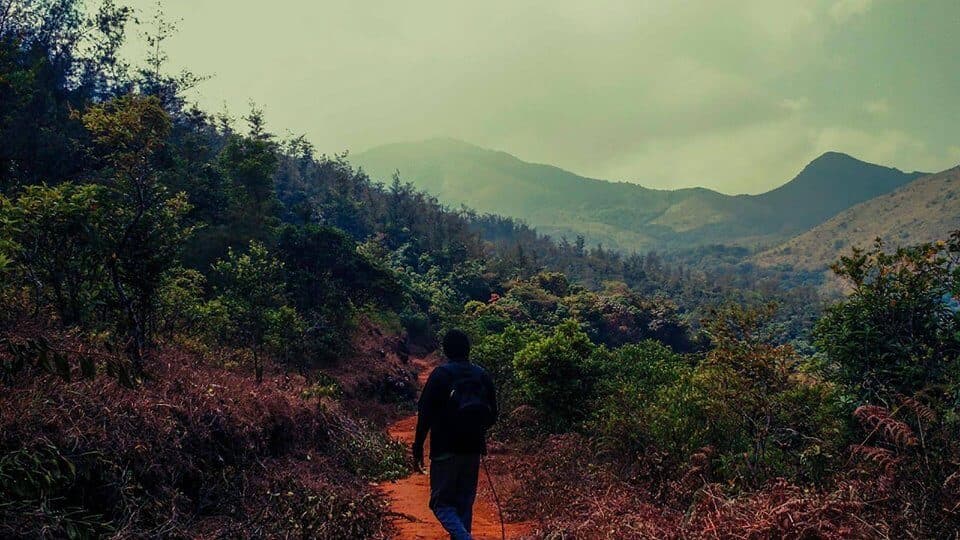 Tadiandamol Trek Coorg